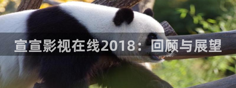 av私人免费观看影院